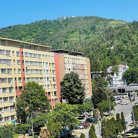 Centraluxury Apartment Piatra Neamt